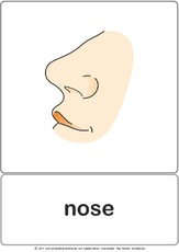 Bildkarte - nose.pdf